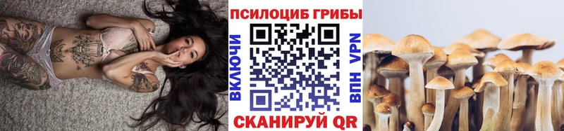 Псилоцибиновые грибы GOLDEN TEACHER  Сарапул 