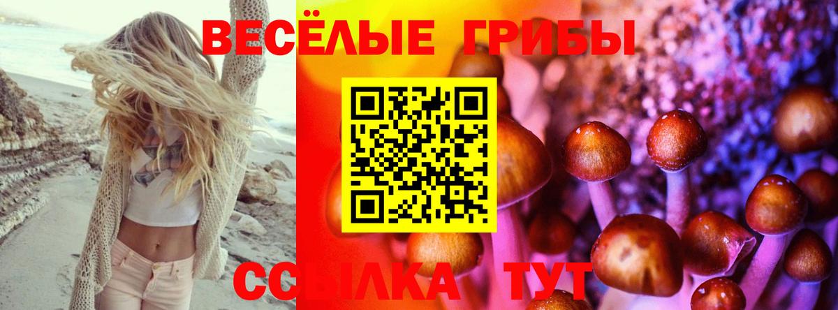 Сарапул  продажа наркотиков  Вход с VPN  Псилоцибиновые грибы мухоморы 